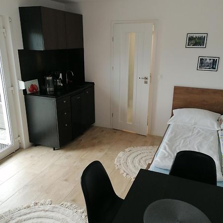 Apartament U Przewodnika Sudeckiego Душники-Здруй Экстерьер фото