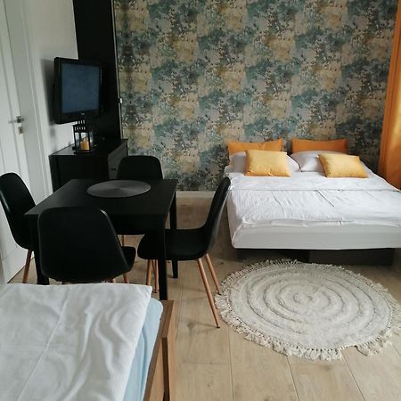 Apartament U Przewodnika Sudeckiego Душники-Здруй Экстерьер фото