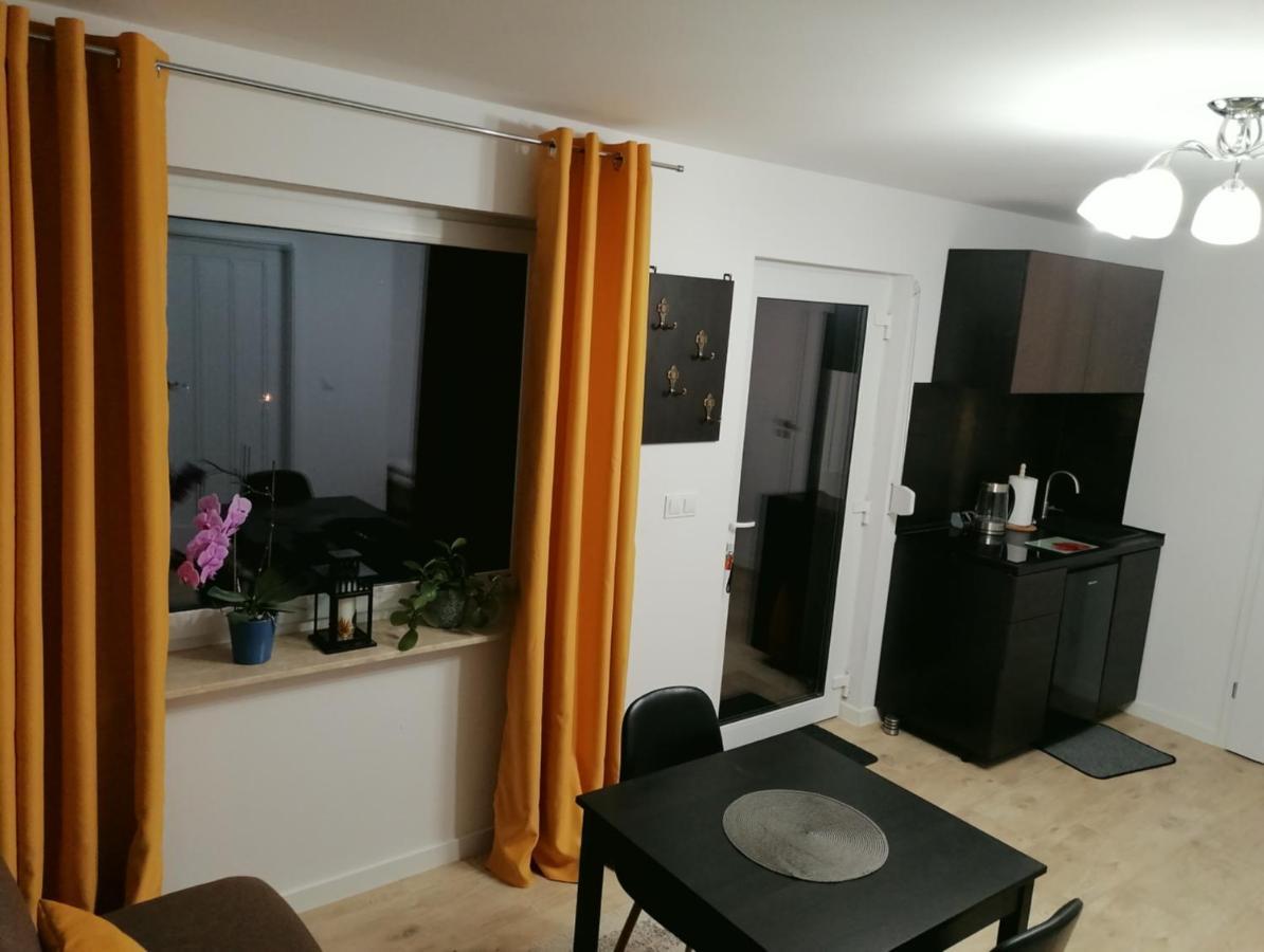 Apartament U Przewodnika Sudeckiego Душники-Здруй Экстерьер фото